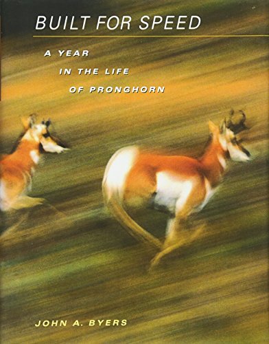 Built for Speed: A Year in the Life of Pronghorn