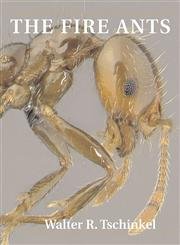 No Image Available