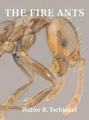 No Image Available