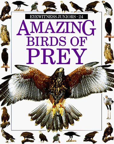 Amazing Birds of Prey (Eyewitness Juniors)