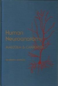 Human Neuroanatomy