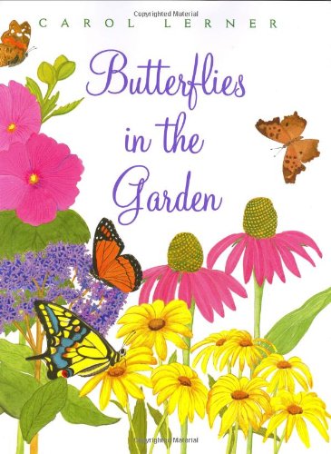 Butterflies in the Garden