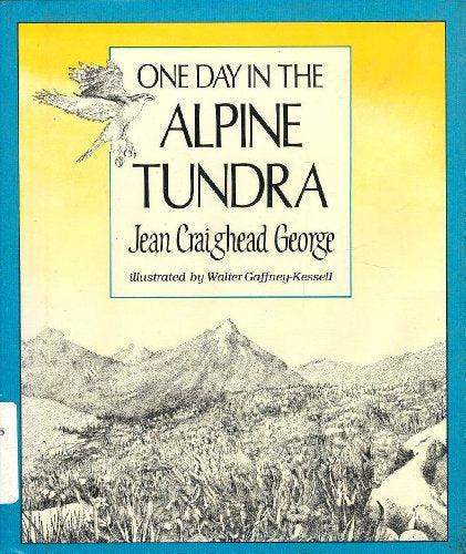 One Day in the Alpine Tundra