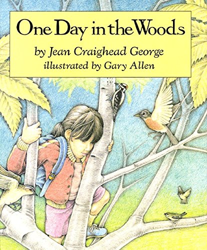 One Day in the Woods