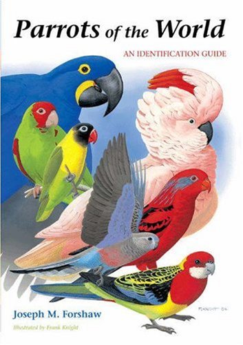 No Image Available