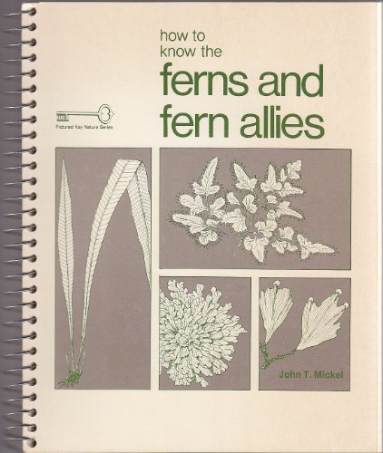 No Image Available