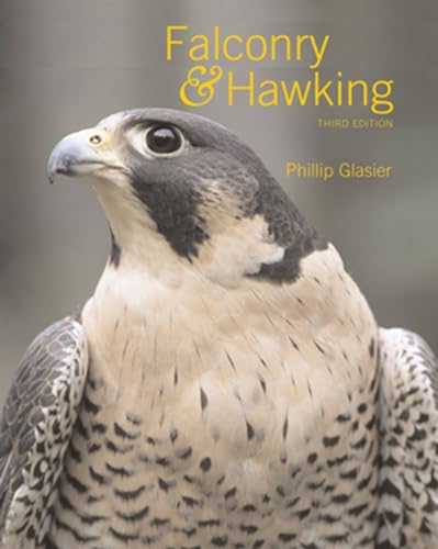 Falconry & Hawking