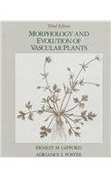 Morphology and Evolution of Vascular Plants