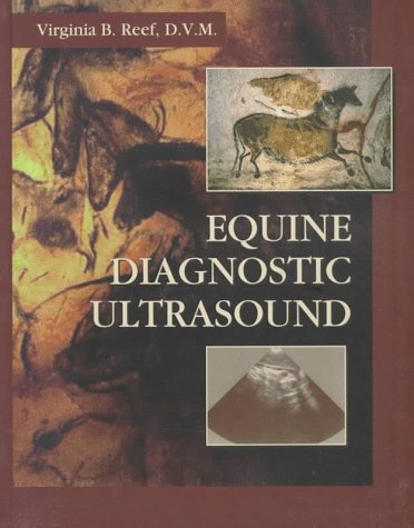 Equine Diagnostic Ultrasound