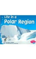 Life in a Polar Region (Pebble Plus: Living in a Biome)