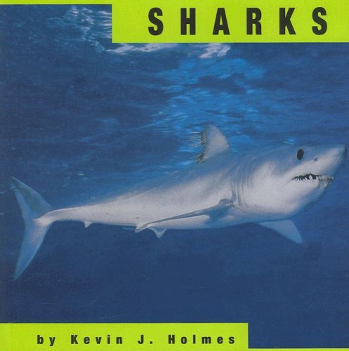 Sharks (Animals)