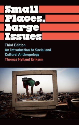 Small Places, Large Issues: An Introduction to Social and Cultural Anthropology, Third Edition (Anthropology, Culture and Society)