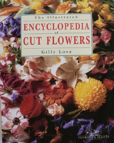 No Image Available