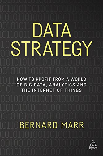 Data Strategy: How to Profit from a World of Big Data, Analytics and the Internet of Things