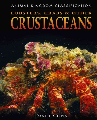 Lobsters, Crabs, & Other Crustaceans (Animal Kingdom Classification)