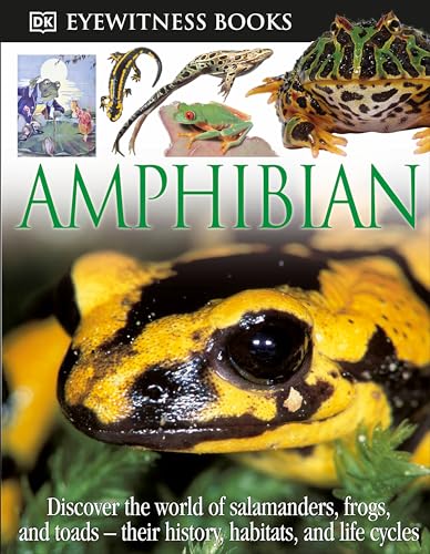 No Image Available