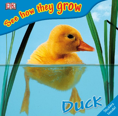 No Image Available
