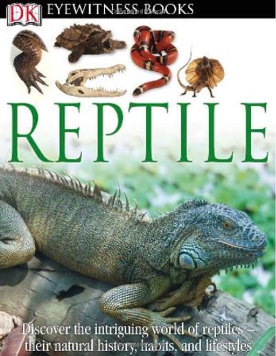 DK Eyewitness Books: Reptile