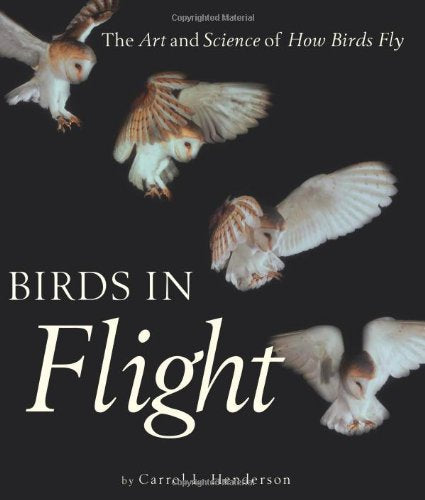 Birds in Flight: The Art and Science of How Birds Fly
