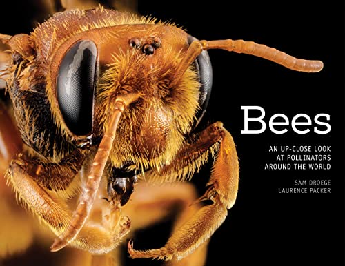 Bees: An Up-Close Look at Pollinators Around the World