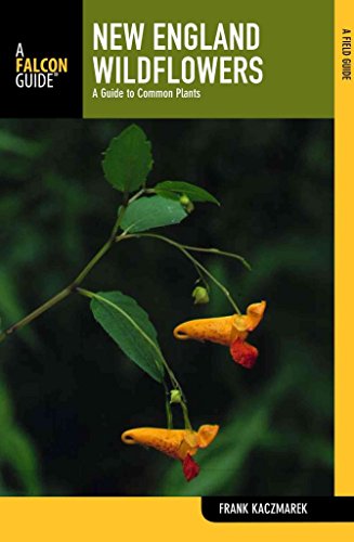 New England Wildflowers: A Guide To Common Plants (Wildflower Series)