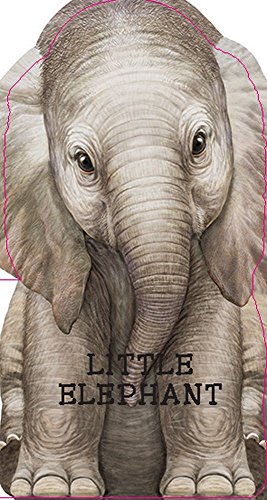 Little Elephant (Look at Me Books)
