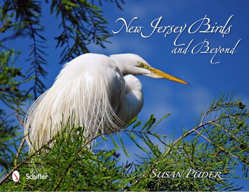 New Jersey Birds and Beyond