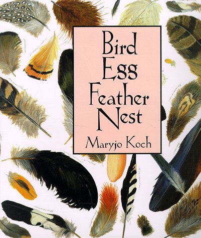 Bird Egg Feather Nest (Maryjo Koch Series)