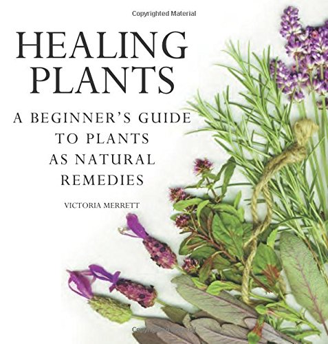 Healing Plants: A Beginner's Guide to Using Plants for Natural Remedies