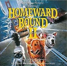 Homeward Bound : Lost in San Francisco-Scholastic Bk Fair Edition
