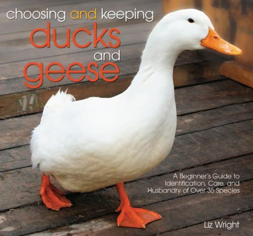 Choosing and Keeping Ducks and Geese: A Beginner's Guide to Identification, Care, and Husbandry of over 35 Species