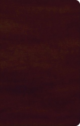 No Image Available