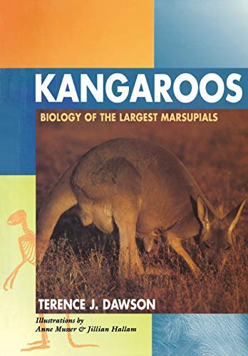 Kangaroos: Biology of the Largest Marsupials (Comstock/Cornell Paperbacks)
