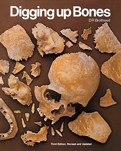 Digging Up Bones