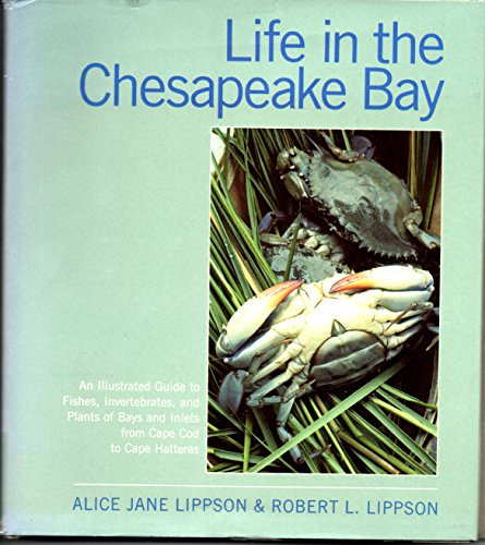 Life in the Chesapeake Bay