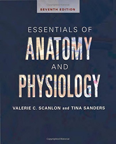 No Image Available