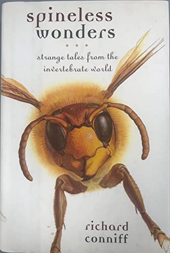 No Image Available