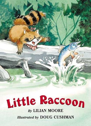 Little Raccoon