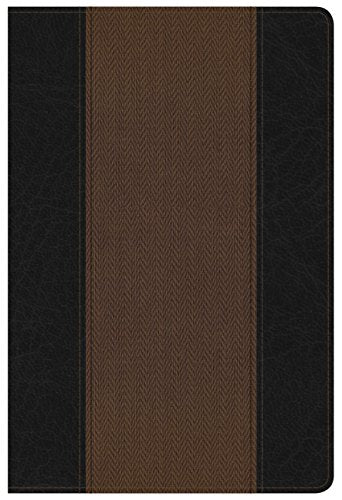 Summary Bible, KJV Edition, Black/Brown LeatherTouch