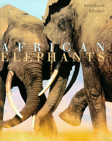 African Elephants