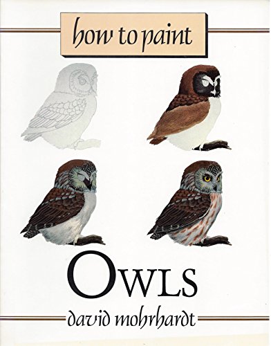 How to Paint Owls: A Guide to Materials, Tools, and Technique