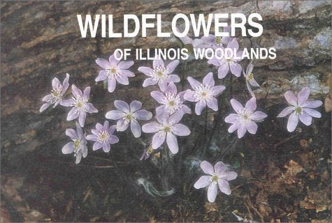 Wildflowers of Illinois Woodlands