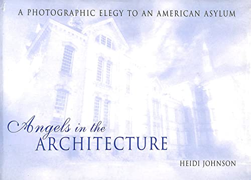 Angels in the Architecture: A Photographic Elegy to an American Asylum (Great Lakes Books)