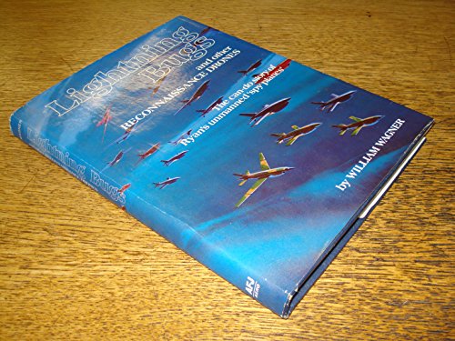 Lightning Bugs and other Reconnaissance Drones