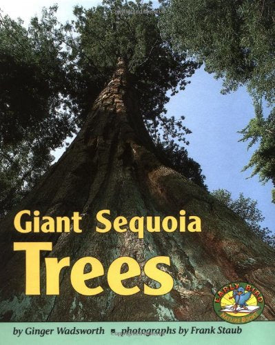 Giant Sequoia Trees (Early Bird Nature Books)