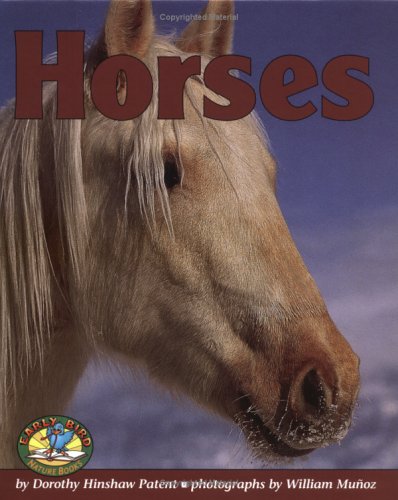 No Image Available