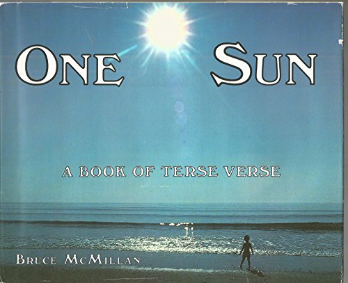One Sun
