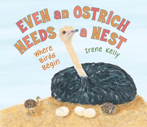 Even an Ostrich Needs a Nest: Where Birds Begin