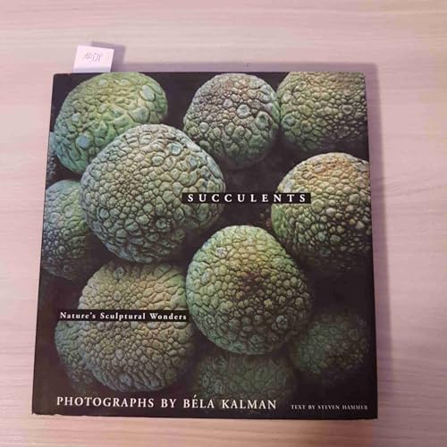 No Image Available