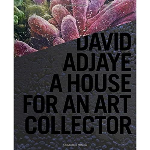 David Adjaye: A House for an Art Collector